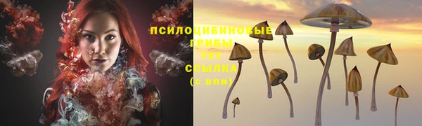 прущая мука Абдулино