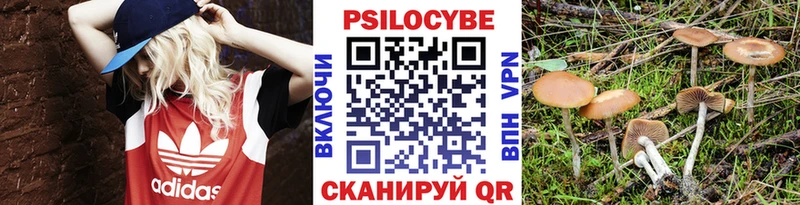 kraken как войти  Череповец  мориарти формула  как найти закладки  Псилоцибиновые грибы GOLDEN TEACHER 